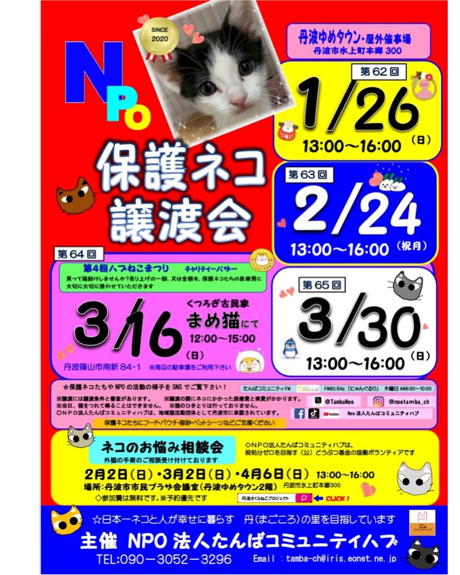 第48回ネコのお悩み相談会